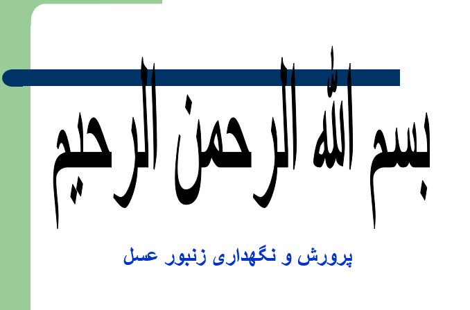دانلود-پاورپوینت-پرورش-و-نگهداری-زنبور-عسل